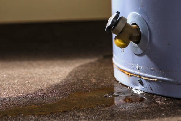 Best Local water damage restoration  in Muncie, IN