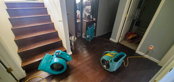 Best Fire Damage Restoration  in Muncie, IN
