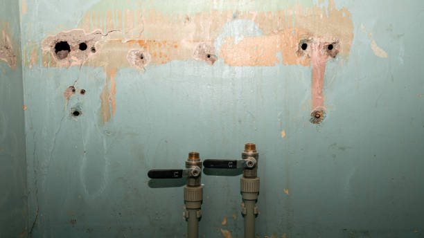 Best Basement water damage restoration  in Muncie, IN