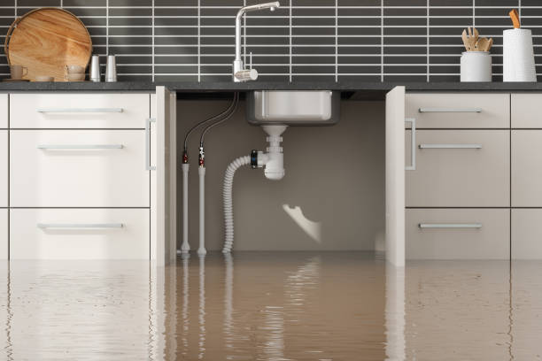 Best Water damage restoration process  in Muncie, IN
