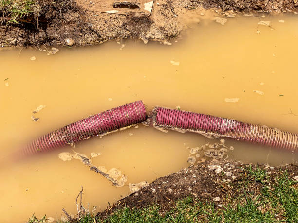 Best Emergency water damage restoration  in Muncie, IN