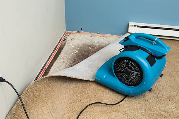 Best Local water damage restoration  in Muncie, IN